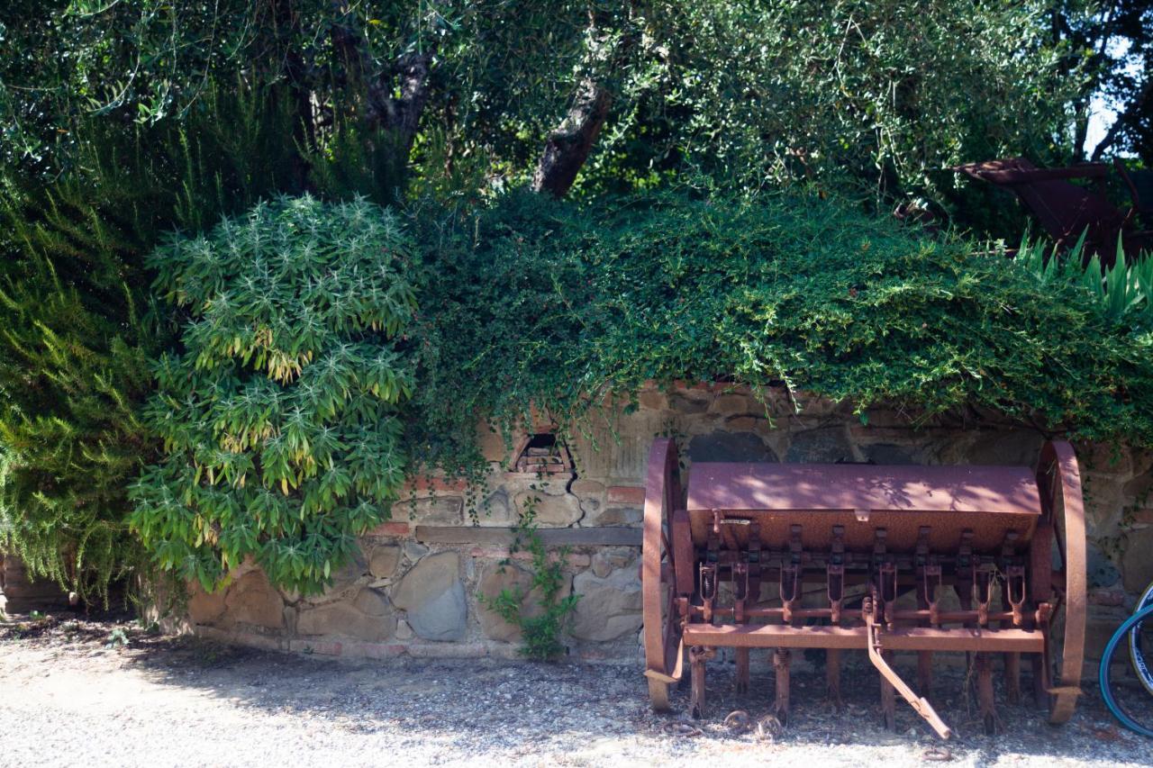 Casa Vacanze Casalsole Vinci Bagian luar foto