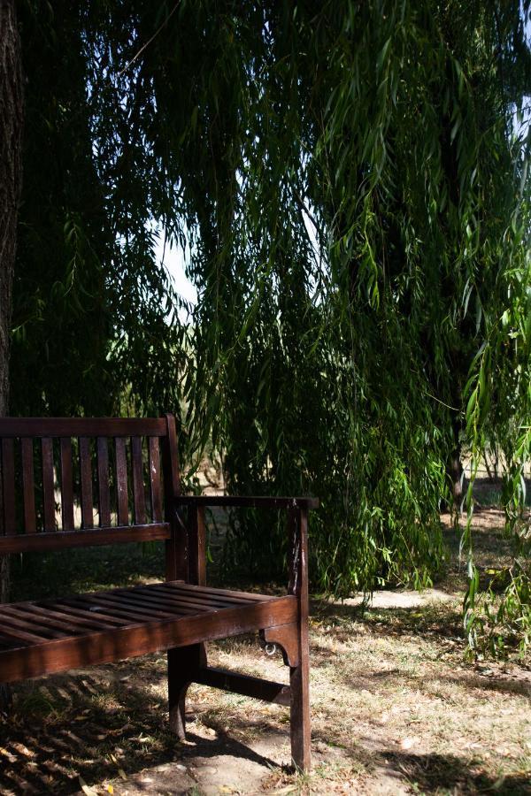 Casa Vacanze Casalsole Vinci Bagian luar foto
