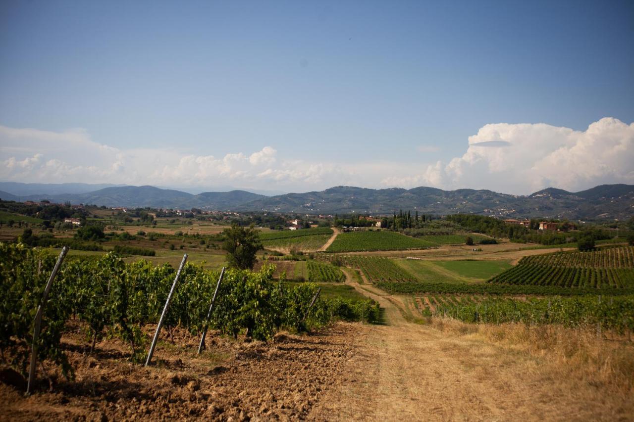 Casa Vacanze Casalsole Vinci Bagian luar foto
