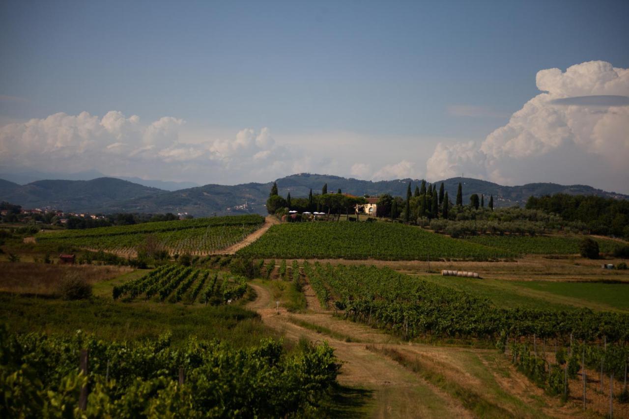 Casa Vacanze Casalsole Vinci Bagian luar foto